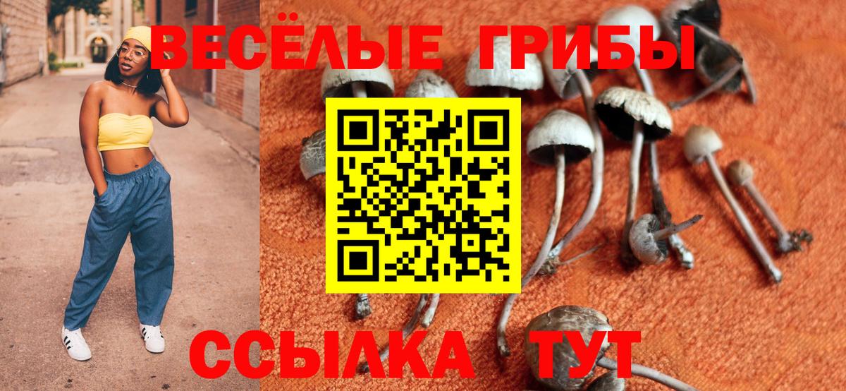 Карпинск  магазин    Вход с VPN  Галлюциногенные грибы Magic Shrooms 